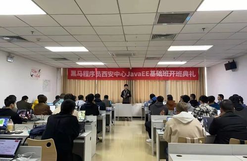 黑馬程序員技術(shù)交流社區(qū) 打造高效技術(shù)咨詢與學(xué)習(xí)平臺(tái)